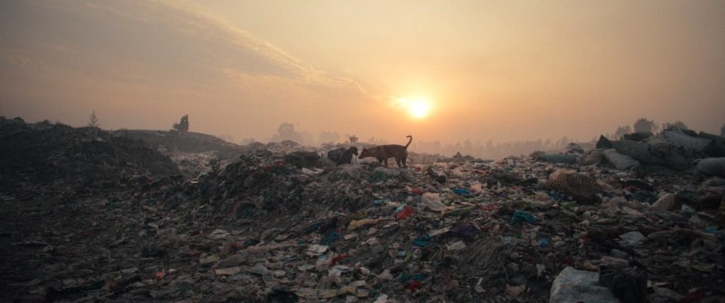Eine Müllhalde: Der Plastikverbrauch nimmt immer weiter zu (Foto: Trimafilm)